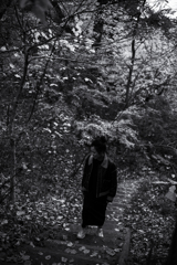 fall leaves b&w