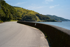 阿波水軍の裔