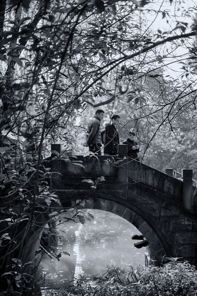 January's monochromes