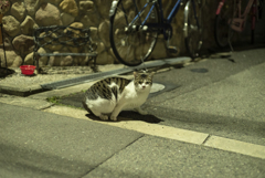 警戒モード