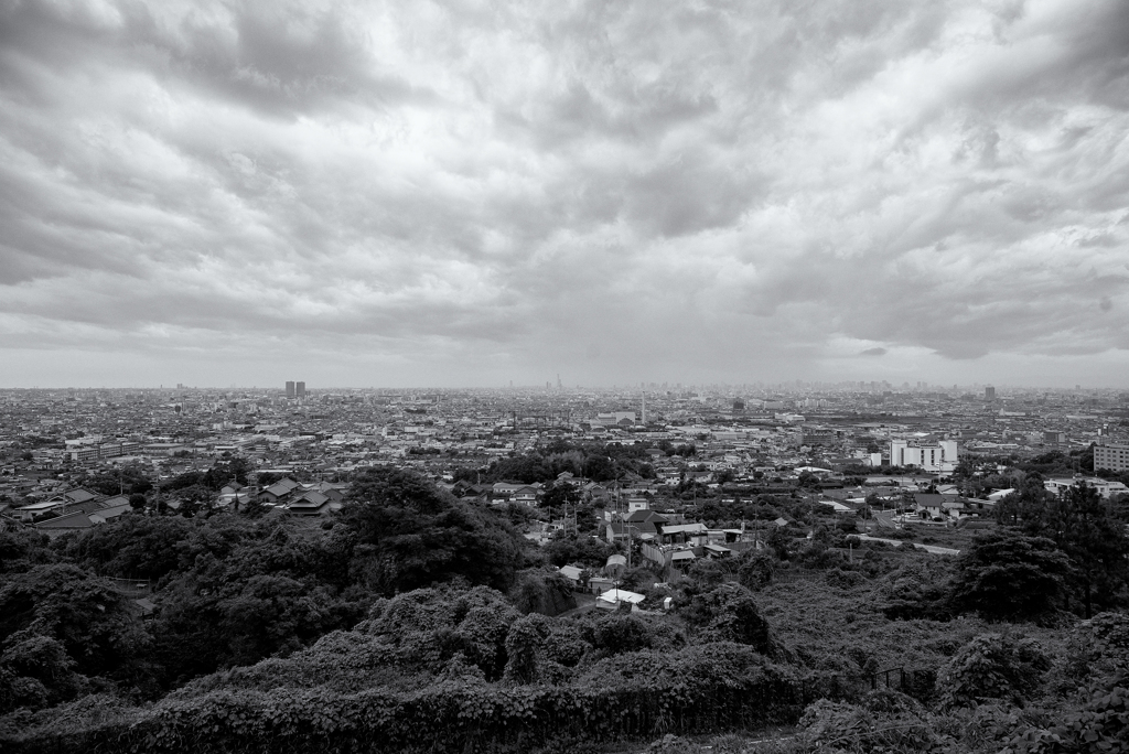 The Osaka Plain