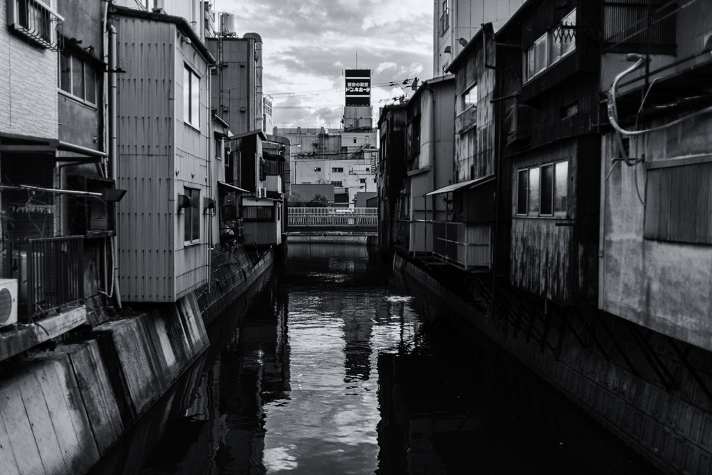 wakayama statics