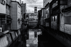 wakayama statics