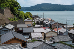 阿波水軍の裔