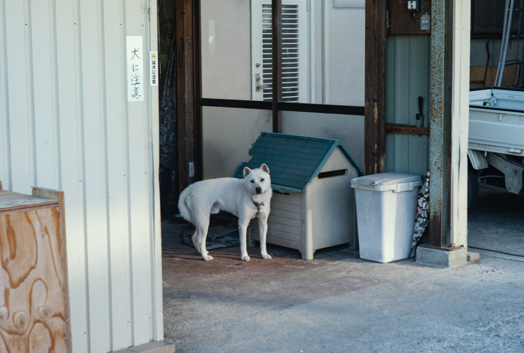 オルタネィティブな風景