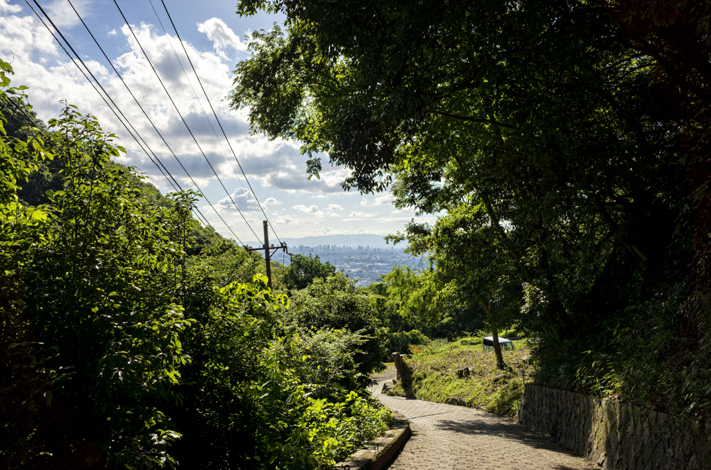 ROUTE 308
