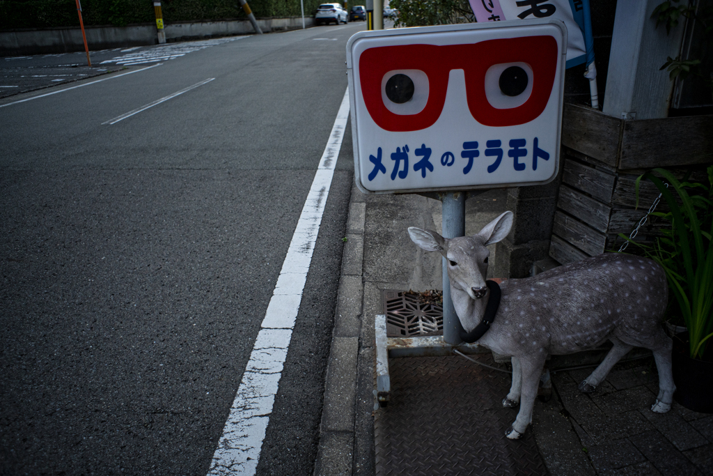 スナップの神
