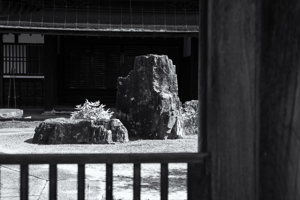 kyoto virtual analog　龍安寺だけが小宇宙じゃない