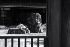 kyoto virtual analog　龍安寺だけが小宇宙じゃない