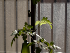 double gauss center crop