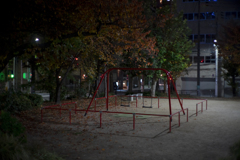 a unkowns park's night