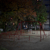 a unkowns park's night