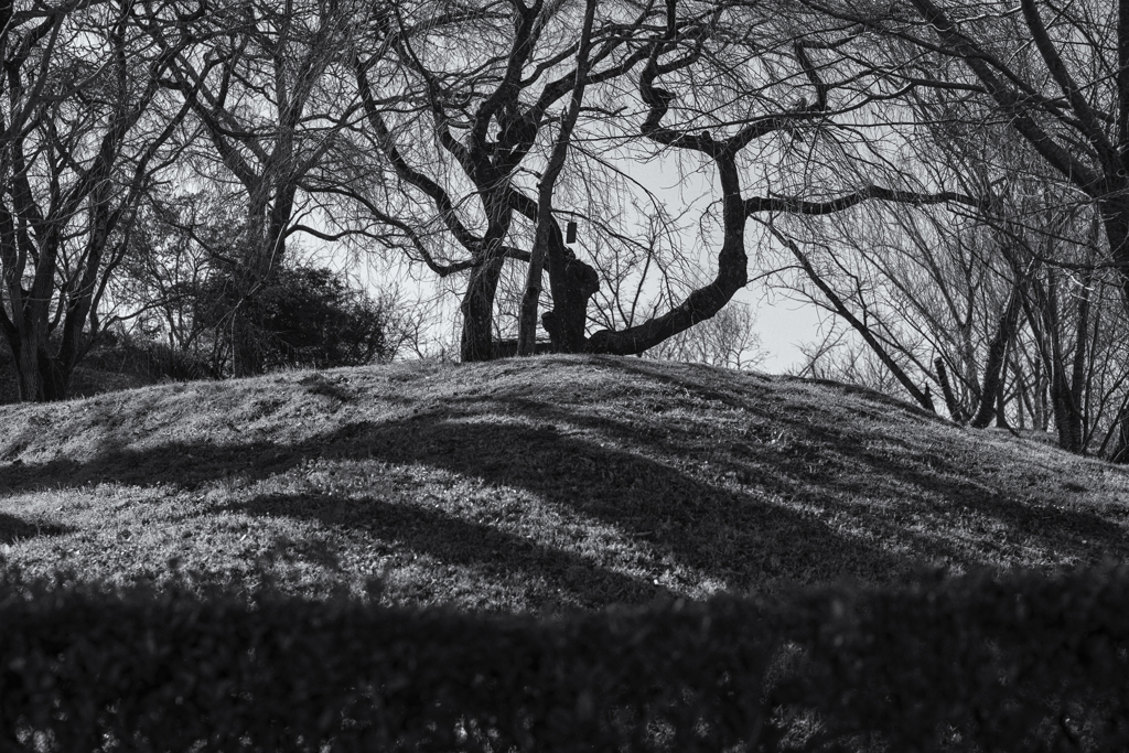 monochrome 77mm