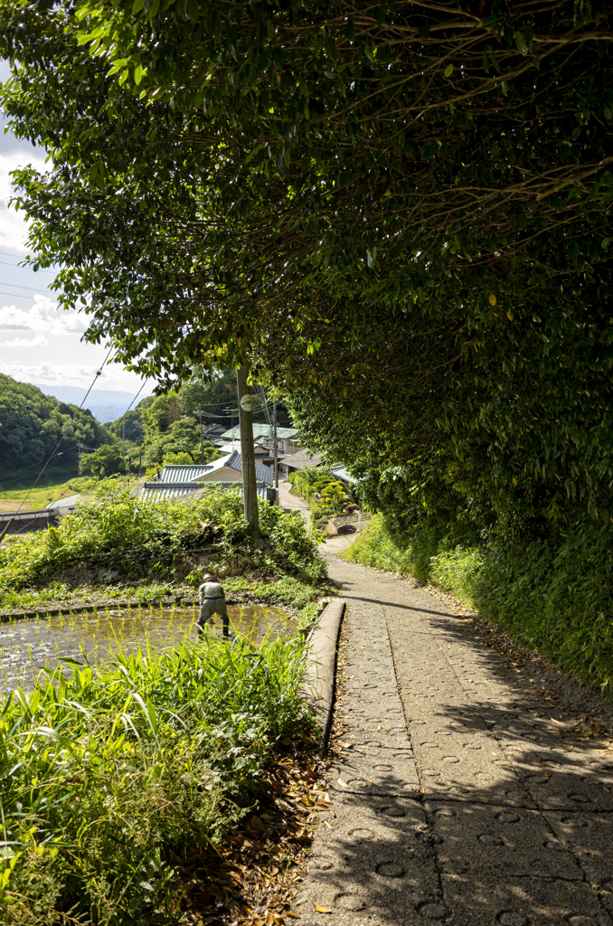 ROUTE 308