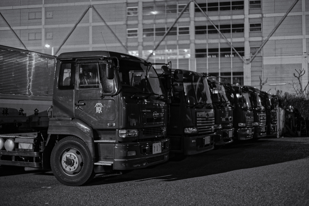 オルタネイティブな風景