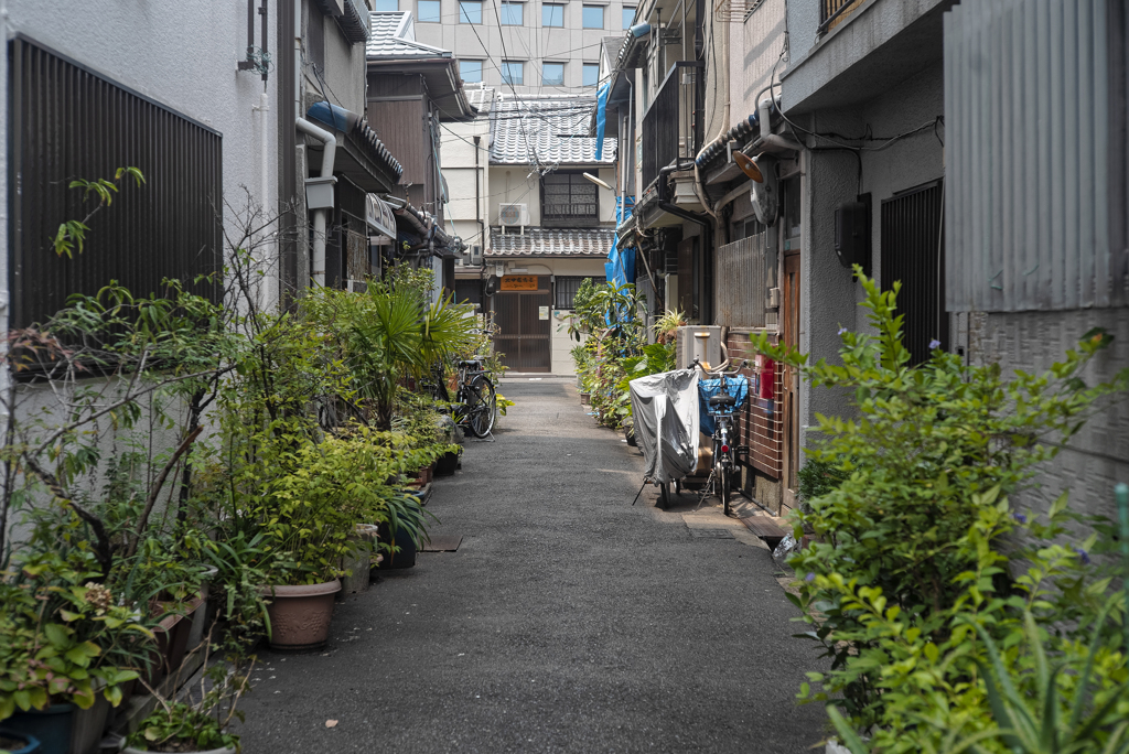 路地
