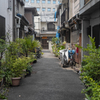 路地