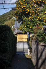 Kumano explorer, to be continued