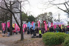 Colorfully New Year  ...isn't Happy ?