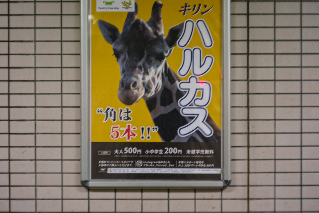オルタネイティブなハルカス