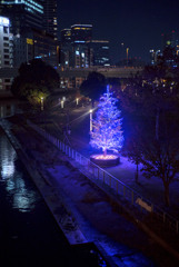 夜に関する覚書