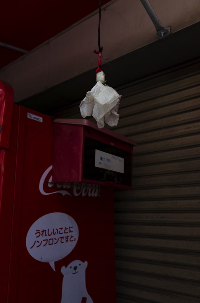 central osaka scenes