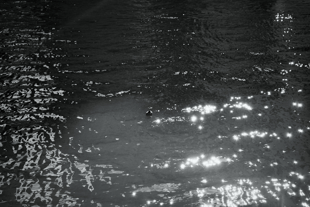 Moss green water by monochrome