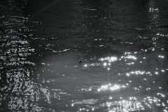 Moss green water by monochrome