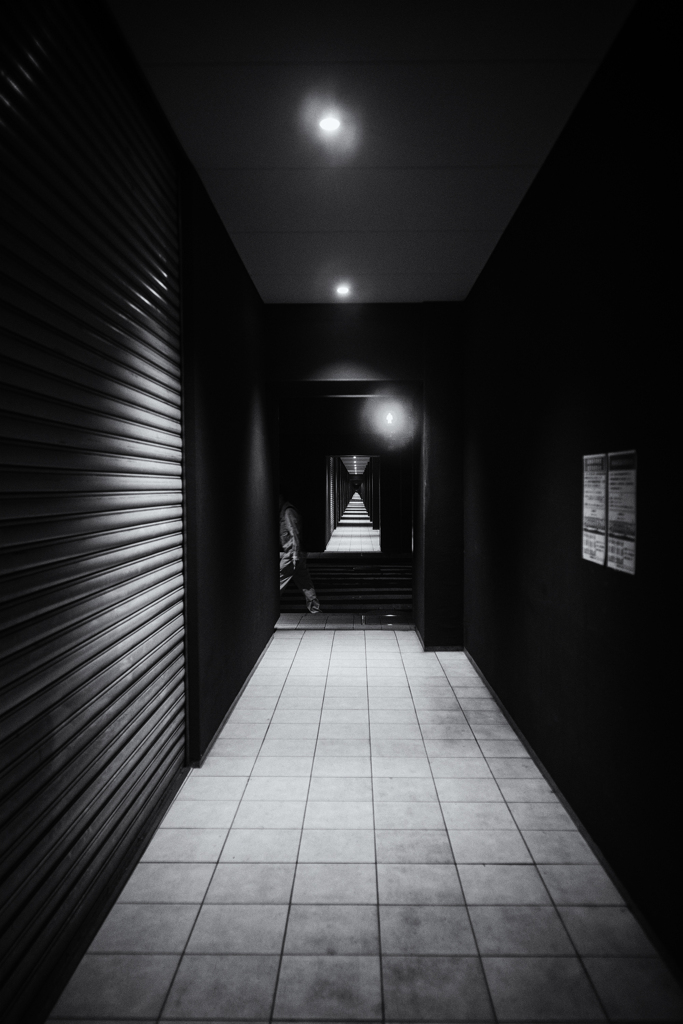 night eyes