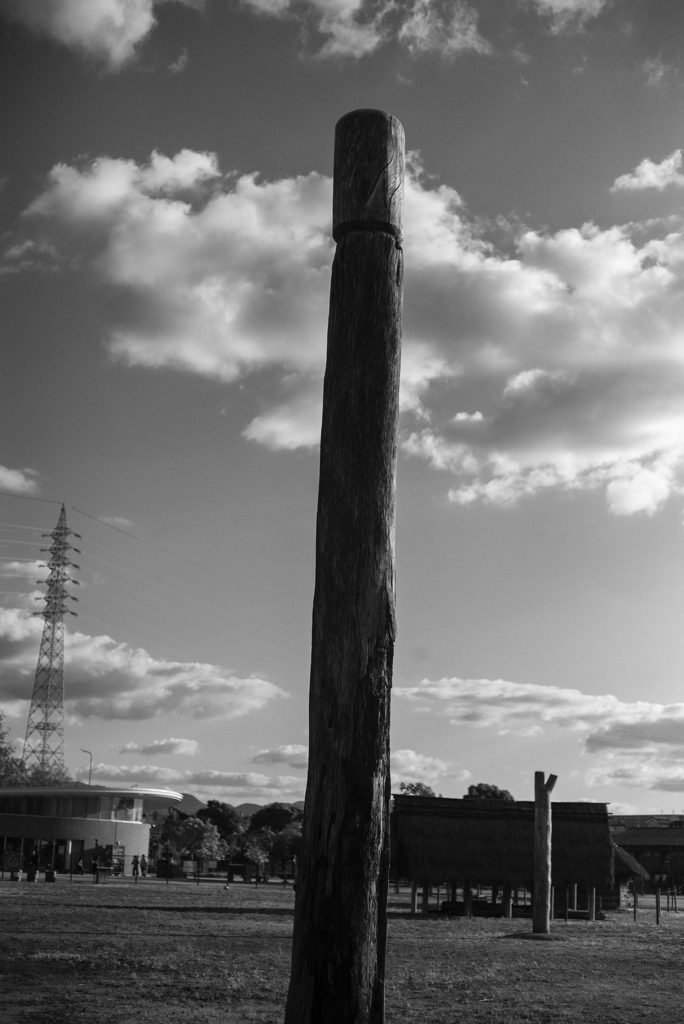 totem pole of the YAYOI period