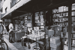 Sophia　-　アイリンを愛隣と呼ぶために