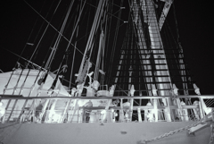 オルタネィティブな風景