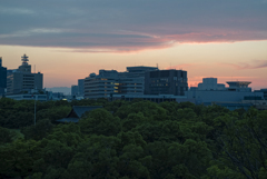 オルタネィティブな風景