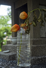 立体感
