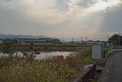 宇智の大野　または　五條
