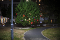 Handmade ”Luminarie”
