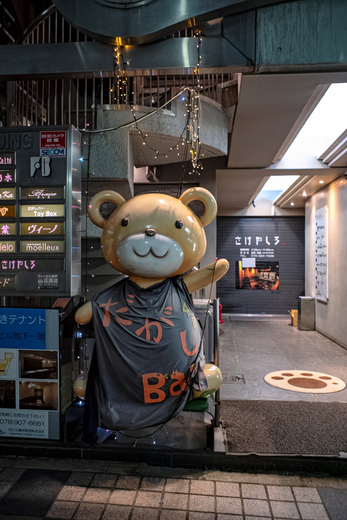 Kobe Bear