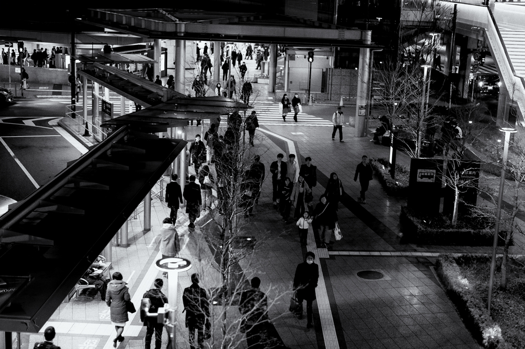nikon monochrome