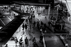 nikon monochrome