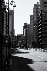 nikon monochrome
