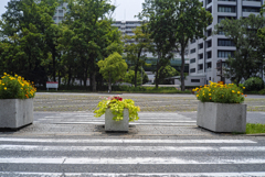 立体感