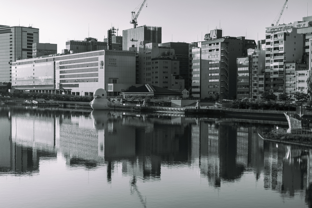 2020082901