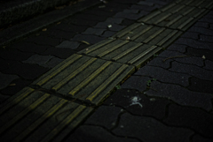 stilllife