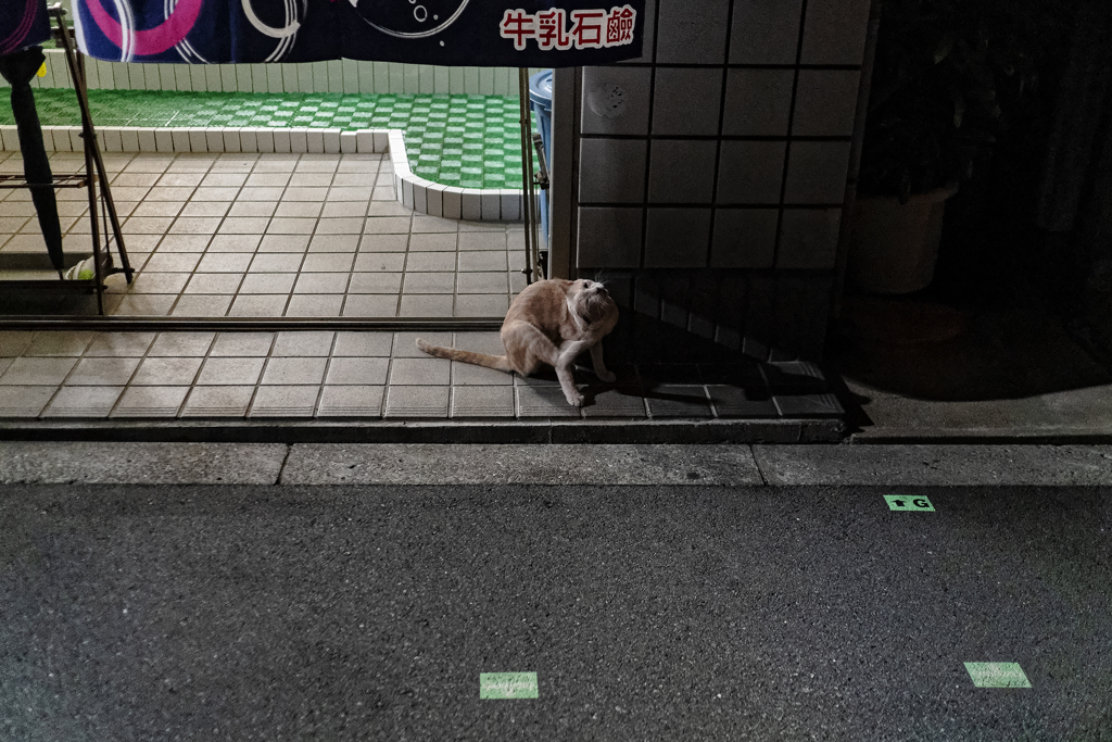 西成の文法