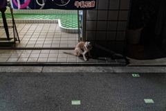 西成の文法