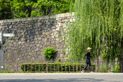 tiny-nomad 069-100 : GREEN
