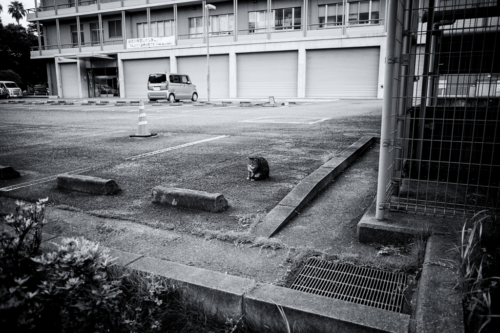 境界と界隈