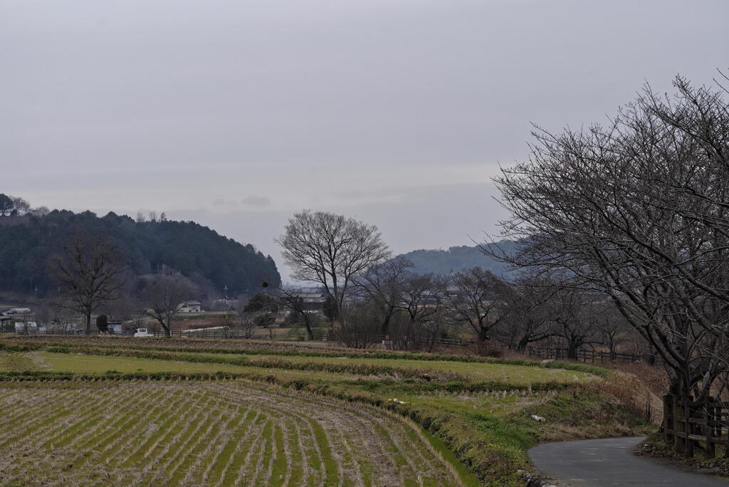 飛鳥・橘寺かいわい -- 地霊または土地の無意識に関する考察