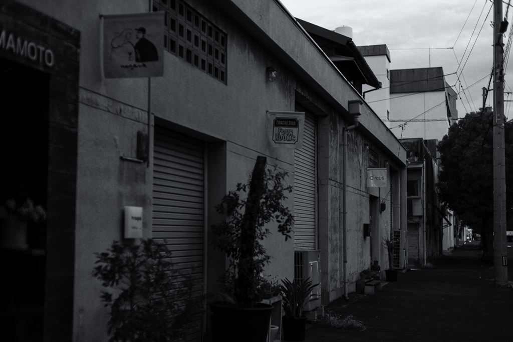 alternative sanuki