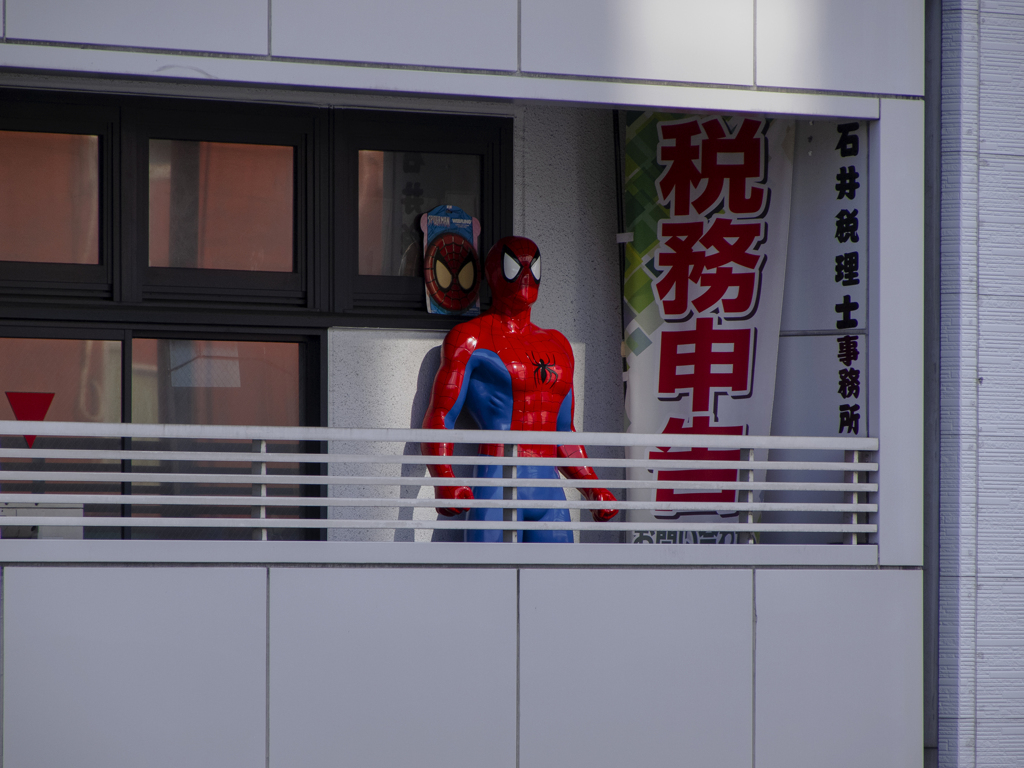 税理士　かなりオルタナ系